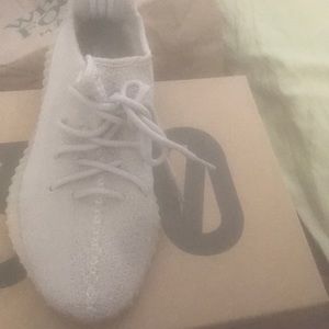 Yeezy boost 350 v2